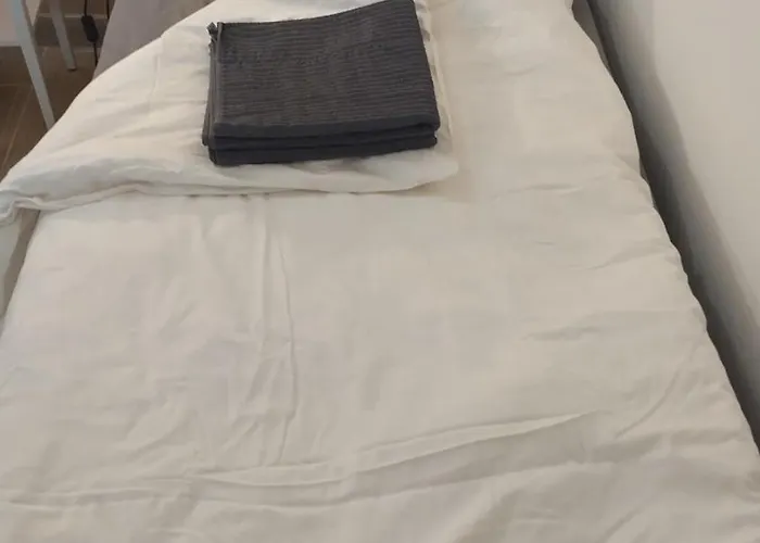 Rocha Carvoeiro- Open Space